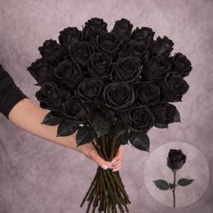 Roses Black 3 stems per bunch