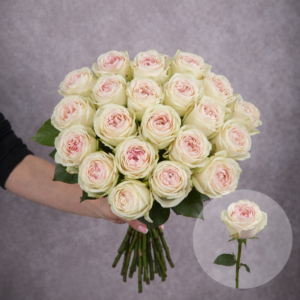 Roses Light Pink Garden 5 stems per bunch