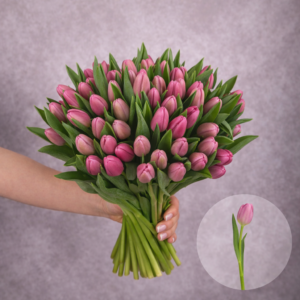 Tulips Medium Pink 10 stems per bunch