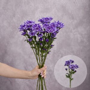 Chrysanthemums Blue Spider 5 stems per bunch