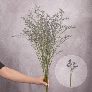 Limonium Blue 3 stems per bunch