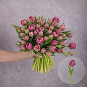 Tulips Purple Double 10 stems per bunch