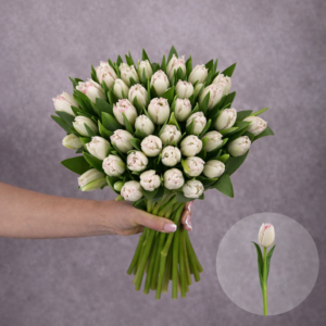 Tulips Light Pink Frill 10 stems per bunch