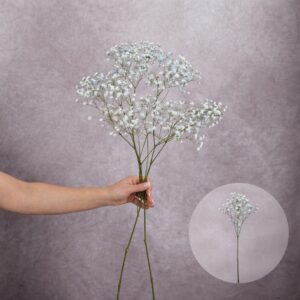Baby's Breath Blue 2 stems per bunch
