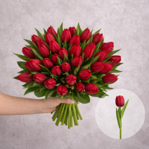 Tulips Red 10 stems per bunch