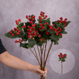 Hypericum Red 5 stems per bunch