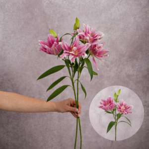 Lilies Pink Oriental Double Petal 2 stems per bunch