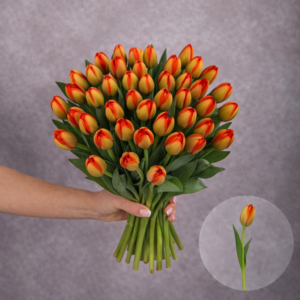 Tulips Orange 10 stems per bunch