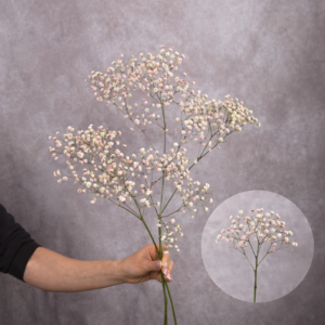 Baby's Breath Light Pink 2 stems per bunch