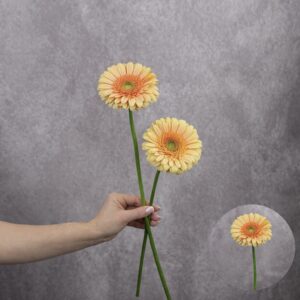 Gerbera Peach 2 stems per bunch