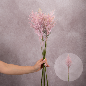 Solidago Light Pink 5 stems per bunch