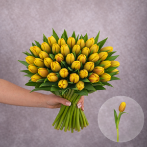 Tulips Variegated Yellow 10 stems per bunch
