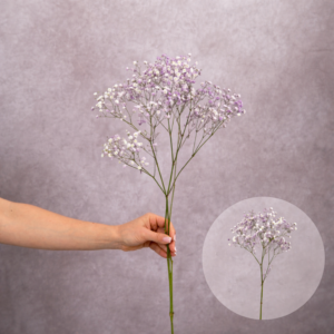 Baby's Breath Lavender 2 stems per bunch