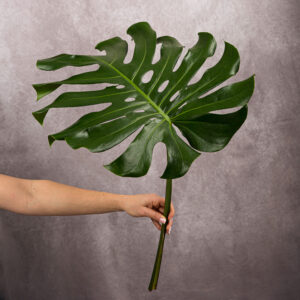 Monstera Leaf Green Large