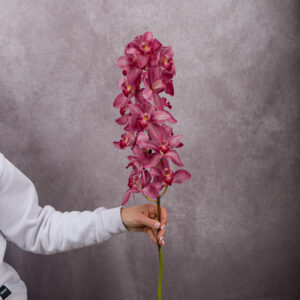 Orchid Cymbidium Hot Pink Large